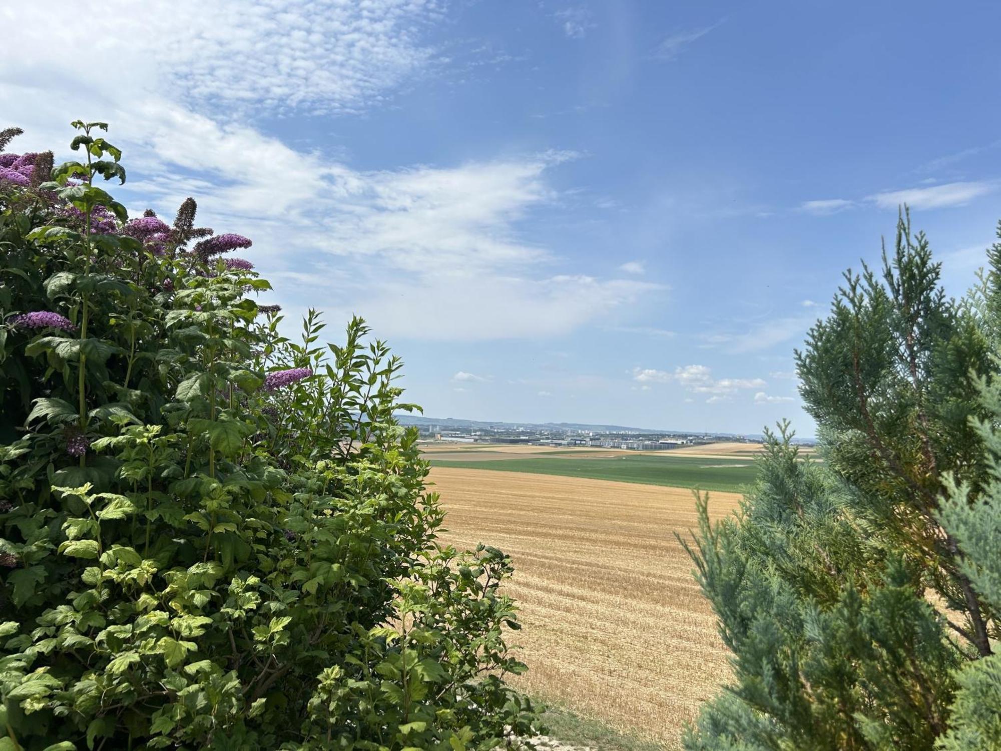 Le Charme Villa Cernay-les-Reims ภายนอก รูปภาพ
